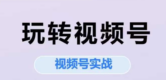 玩转视频号，视频号实战系列课-淘秘副业