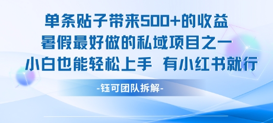 单条贴子带来5张的收益，暑假最好做的私域项目之一，小白也能轻松上手，有小红书就行-淘秘副业