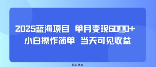 2025蓝海项目 单月变现6k+ 小白操作简单 当天可见收益-淘秘副业