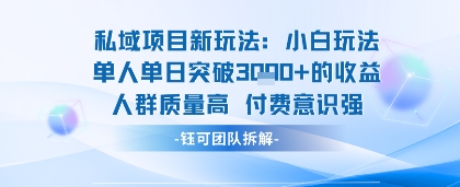 私域项目新玩法小白玩法单人单日突破1k的收益人群质量高付费意识强-淘秘副业