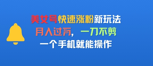 美女号快速涨粉新玩法，月入过W，一刀不剪，一个手机就能操作-淘秘副业