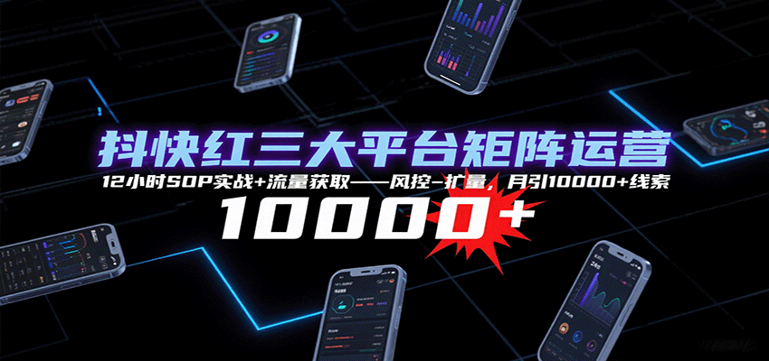 抖快红三大平台矩阵运营，12小时SOP实战+流量获取-风控-扩量，月引10000+线索-淘秘副业