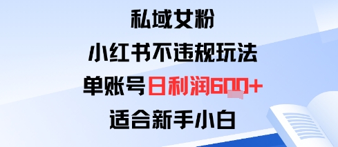 私域女粉：小红书平台不违规玩法单账号日利润6张+适合新手小白-淘秘副业