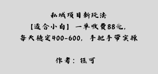 私域项目新玩法【适合小白】一单收费88米，每天稳定几张，手把手带实操-淘秘副业