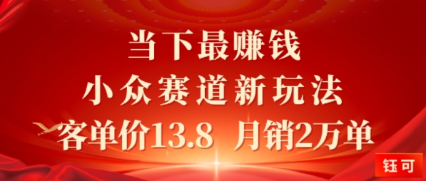 当下最挣钱的小众赛道 小红书新玩法10个作品涨粉3W，客单价13.8 月销2W单-淘秘副业