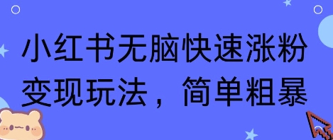 小红书无脑快速涨粉变现玩法，简单粗暴-淘秘副业