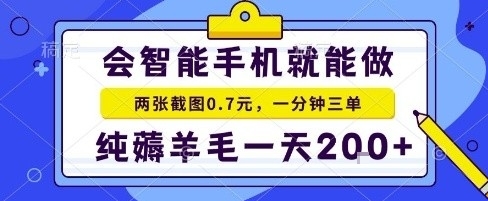 手机项目，二十秒一单，纯薅羊毛一天2张+做就有【揭秘】-淘秘副业