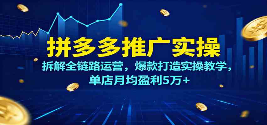 拼多多推广实操，拆解全链路运营，爆款打造实操教学，单店月均盈利5万+-淘秘副业