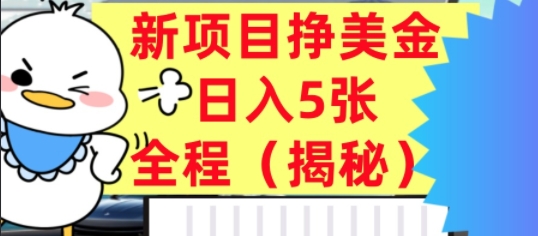 最新挣美金项目，日入5张，全程揭秘，小白也能轻松入手，长久被动收入-淘秘副业
