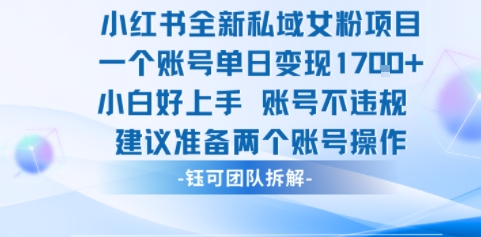 小红书全新私域女粉项目 单日变现1k+ 小白好上手账号不违规-淘秘副业