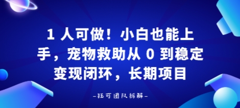 1人可做！小白也能上手，宠物救助从 0 到稳定变现闭环，长期项目-淘秘副业