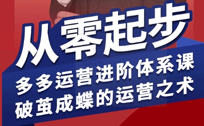 拼多多运营进阶系统课，从零起步，多多运营进阶体系课，破茧成蝶的运营之术（更新9月）-淘秘副业