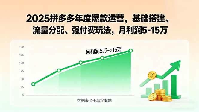 （15973期）2025拼多多年度爆款运营，基础搭建、流量分配、强付费玩法，月利润5-15万-淘秘副业