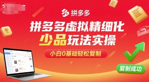 拼多多虚拟精细化少品玩法实操，小白0基础轻松复制-淘秘副业