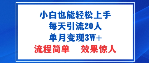 小白也能轻松上手的宝妈项目，每天引流20人，单月变现3W+，流程简单，效果惊人-淘秘副业