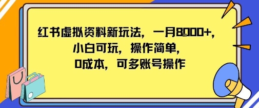 小红书虚拟资料新玩法，一月8k+小白可玩，操作简单-淘秘副业