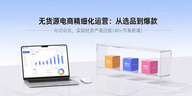 （15896期）无货源电商精细化运营：从选品到爆款，实现轻资产高回报(40+节系统课)-淘秘副业