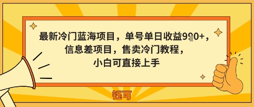 最新冷门蓝海项目，单号单日收益多张，信息差项目，售卖冷门教程，小白可直接上手-淘秘副业