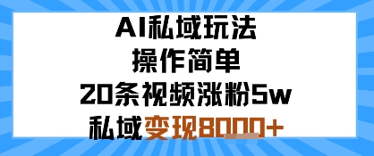 AI私域玩法，操作简单，20条视频涨粉5w，私域变现8k+-淘秘副业