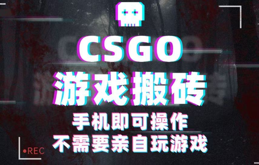 CSGO游戏挂机捡漏，单日扫货500+，年底小高峰上车可吃肉，手机即可操作兼职副业-淘秘副业
