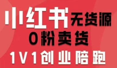 小红书无货源0粉电商课，开店准备、选品策略、笔记撰写、视频剪辑、数据分析、账号打造、资料文档-淘秘副业