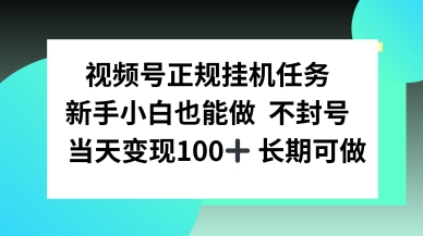 视频号正规挂播任务,有手就行不违规,轻松日入1张
