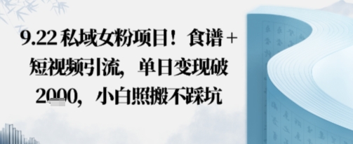 私域女粉项目！食谱+短视频引流，单日变现破多张，小白照搬不踩坑-淘秘副业