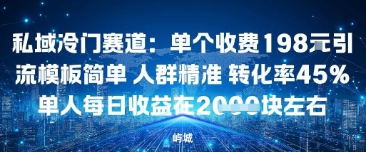 私域冷门赛道：单个收费198米引流模板简单人群精准转化率45%单人每日收益在1k+-淘秘副业