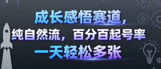 成长感悟赛道，纯自然流，百分百起号率 一天轻松多张-淘秘副业