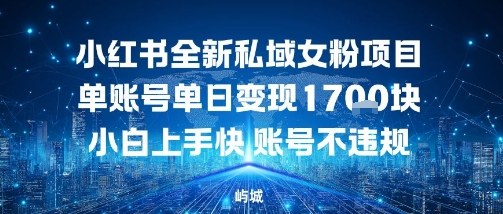 小红书全新私域女粉项目单账号单日变现多张，小白上手快账号不违规建议准备多账号操作-淘秘副业