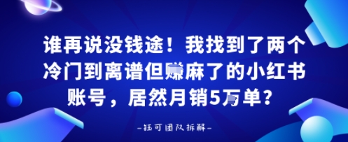 谁再说没钱途！我找到了两个冷门到离谱但賺麻了的小红书账号，居然月销5W单？-淘秘副业