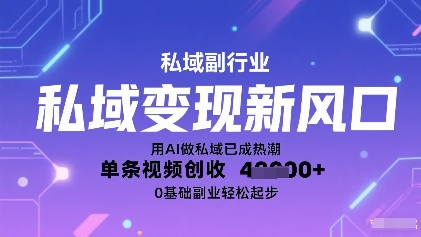 私域变现新风口：用AI做私域已成热潮，单条视频创收1k+，0基础副业轻松起步-淘秘副业