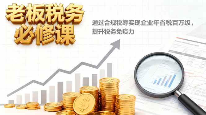 （16426期）老板税务必修课，通过合规税筹实现企业年省税百万级，提升税务免疫力-淘秘副业