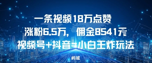 一条视频18W点赞涨粉6.5W，佣金8541视频号+抖音=小白王炸玩法-淘秘副业
