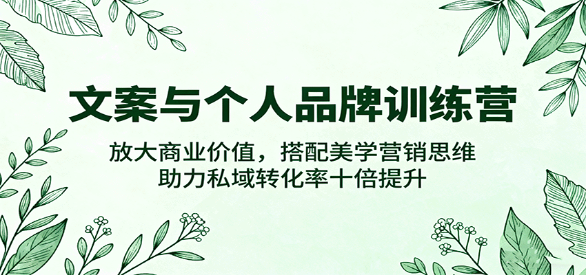 文案与个人品牌训练营，放大商业价值，搭配美学营销思维，助力私域转化率十倍提升-淘秘副业