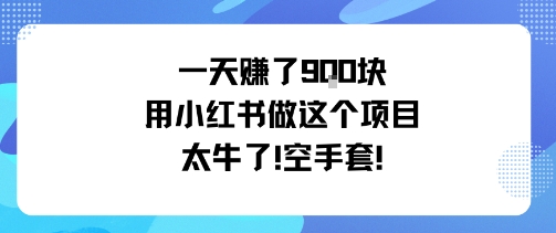 一天挣了9张用小红书做这个项目太牛了，空手套-淘秘副业