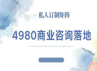 4980商业咨询师落地课程-ip运营高客单教程-淘秘副业