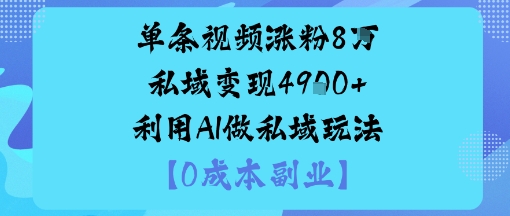 单条视频涨粉8W私域变现1k+利用AI做私域玩法-淘秘副业