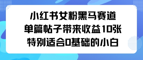 小红书女粉黑马赛道单篇帖子带来收益10张特别适合0基础的小白-淘秘副业