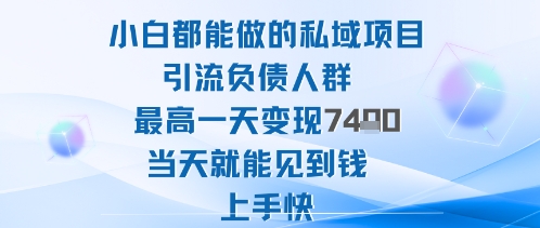 2025年小白都能做的私域项目引流负债人群最高一天变现1k+高变现难度低当天就能见到钱上手快-淘秘副业