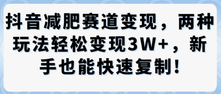抖音减肥赛道变现，两种玩法轻松变现3W+，新手也能快速复制-淘秘副业