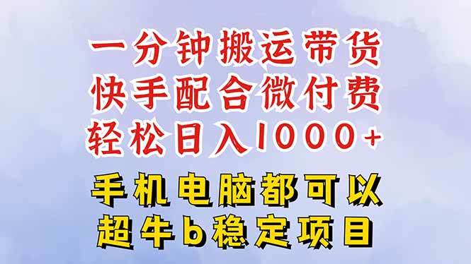 （16285期）快手黑科技一分钟搬运带货，一刀不剪过原创，微付费投流玩法，轻松日入…-淘秘副业