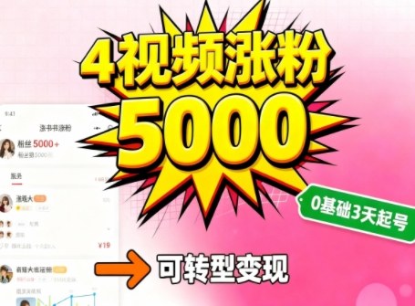 小红书暴力起号方法，四个视频涨粉5000，起号后可转型，操作简单，对小白友好-淘秘副业