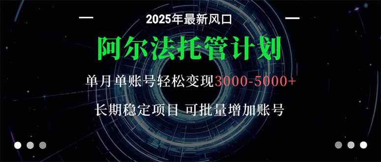 （16360期）阿尔法托管计划 单账号月入3000-5000，长期稳定项目，新手小白轻松上手。-淘秘副业
