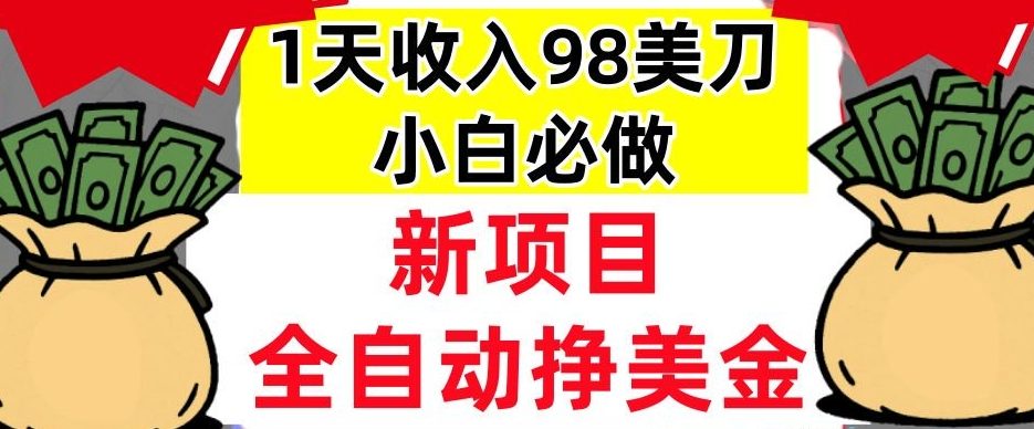新项目，全自动挣美刀，1天收入98刀，0门槛，适合新人的被动收入（最终版本）-淘秘副业