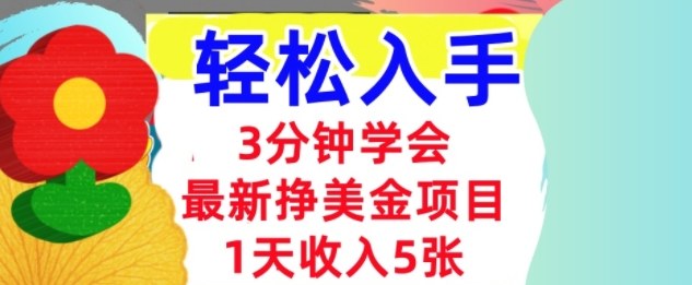 最新挣美金项目，日入5张，3分钟学会，小白轻松入手（长久的被动收入）-淘秘副业