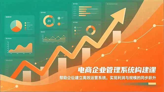 （16643期）电商企业管理系统构建课：帮助企业建立高效运营系统，实现利润与规模的同步跃升-淘秘副业