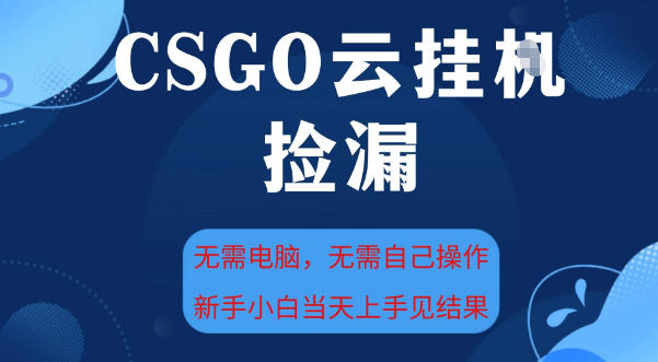 CSGO云挂G全自动捡漏，最新独家玩法，无需电脑操作，新手小白日入5张+【揭秘】-淘秘副业