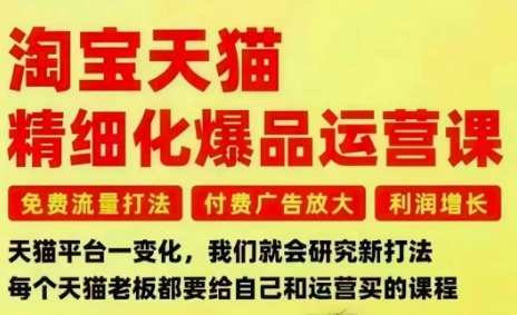 淘宝天猫精细化爆品运营课，免费流量打法-付费广告放大-利润增长-三大核心痛点，一次全部解决-淘秘副业