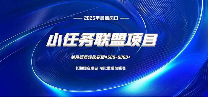 （16521期）小任务联盟项目：一台电脑每天只需10分钟，轻松简单稳定-淘秘副业